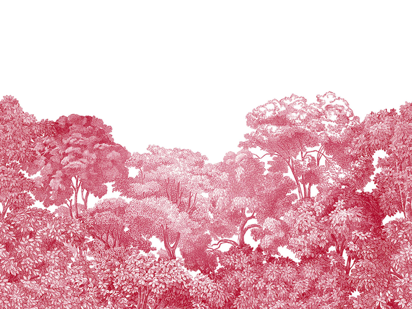Bellewood, Crimson Toile, Rebel Walls