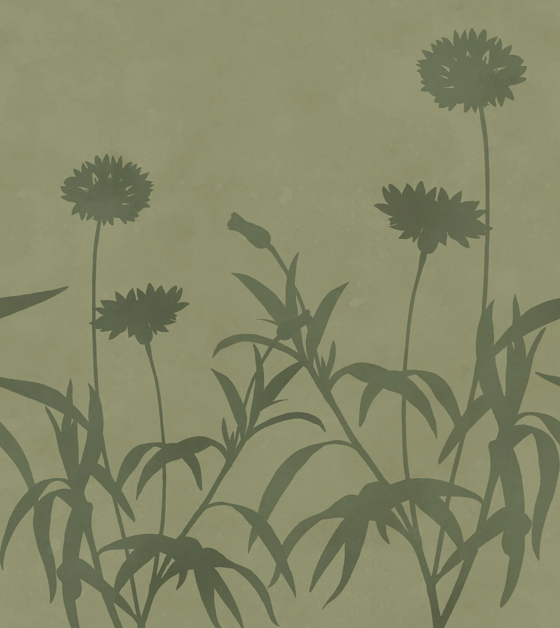 Floral Silhouette, Green, Rebel Walls