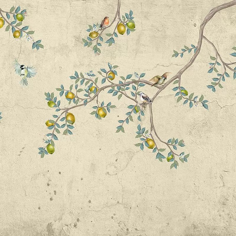 Gentle Morning (cream), VLAdiLA