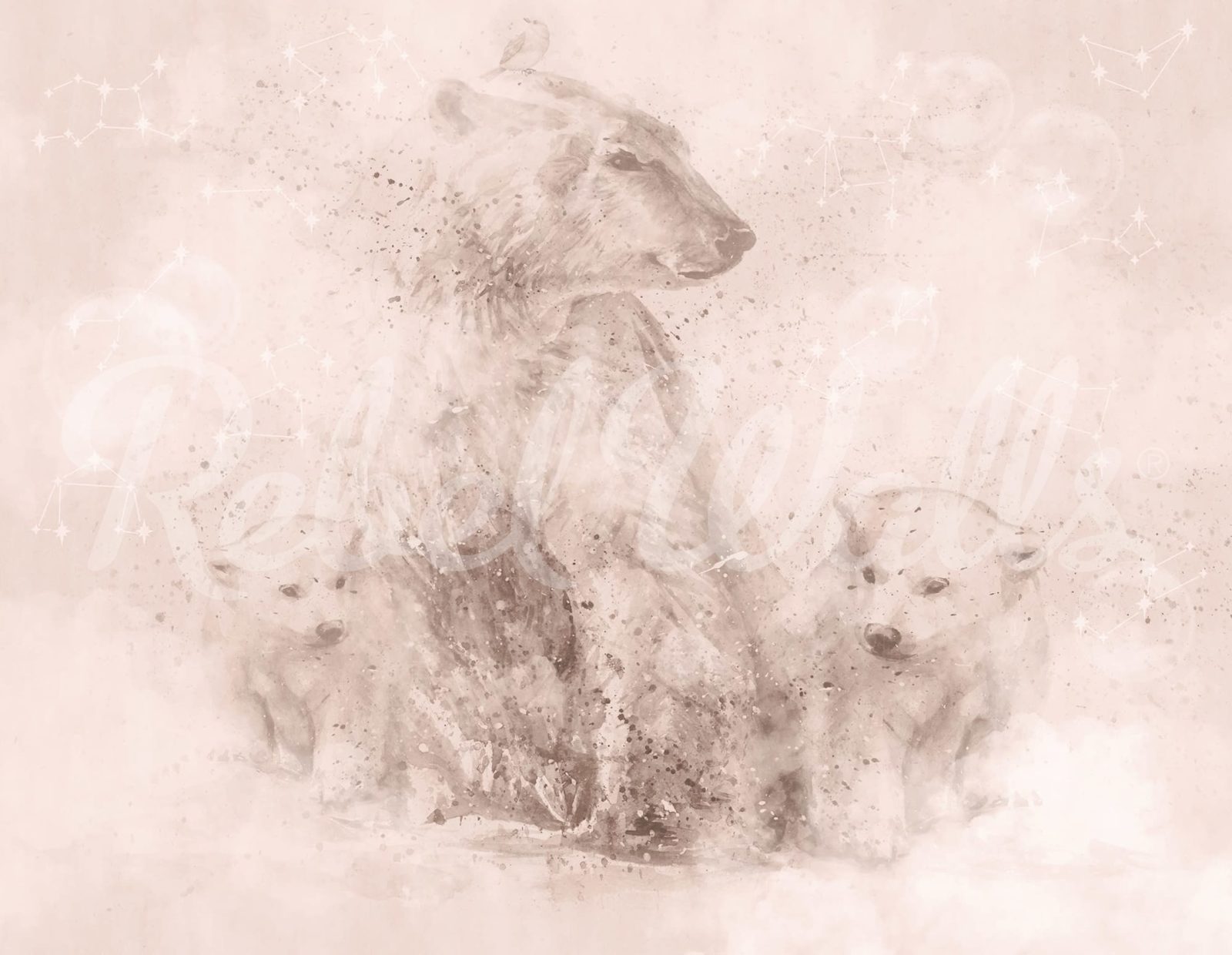 Polar Bear, Soft Pink, Rebel Walls