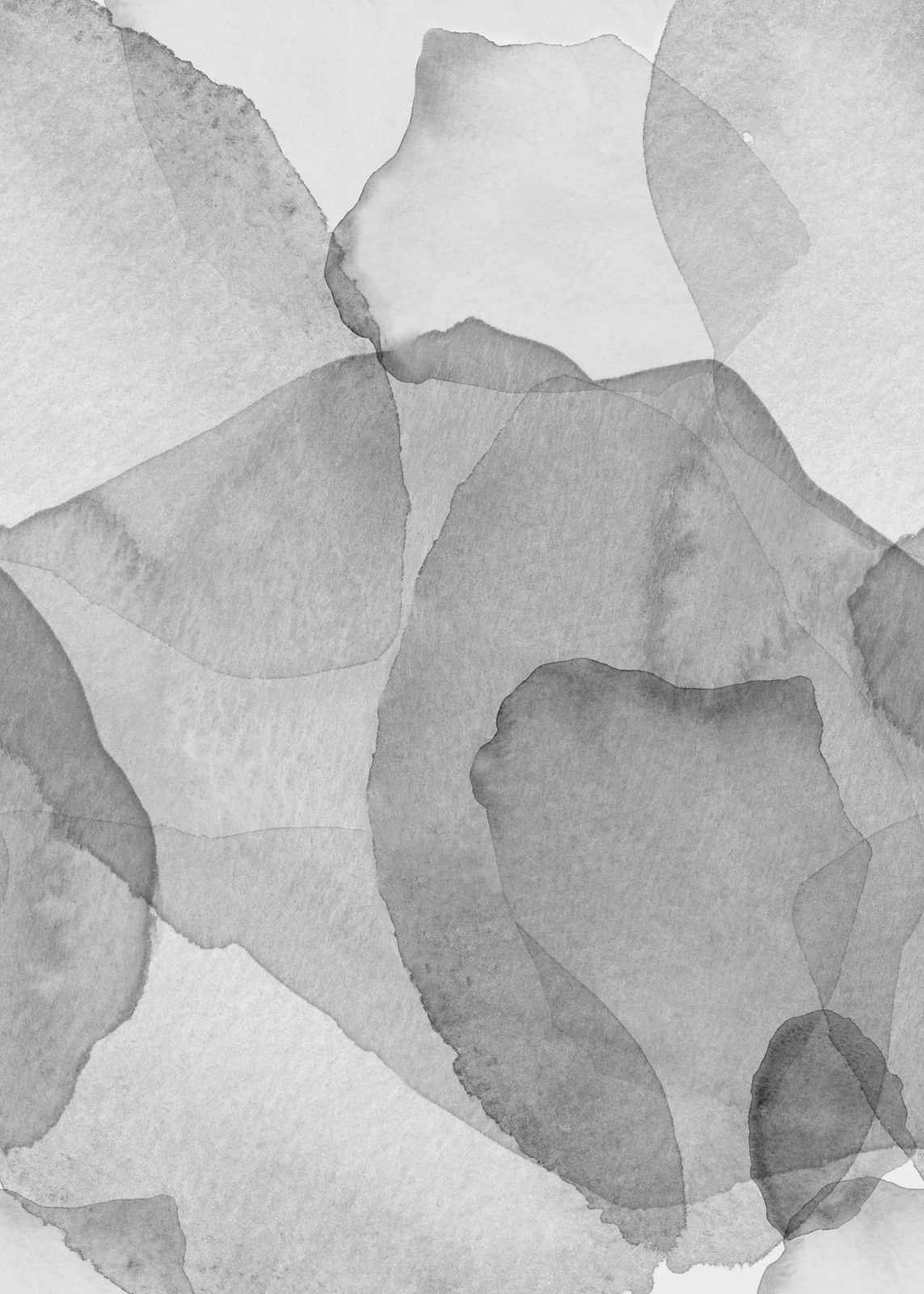 Petals, Graphite, Rebel Walls