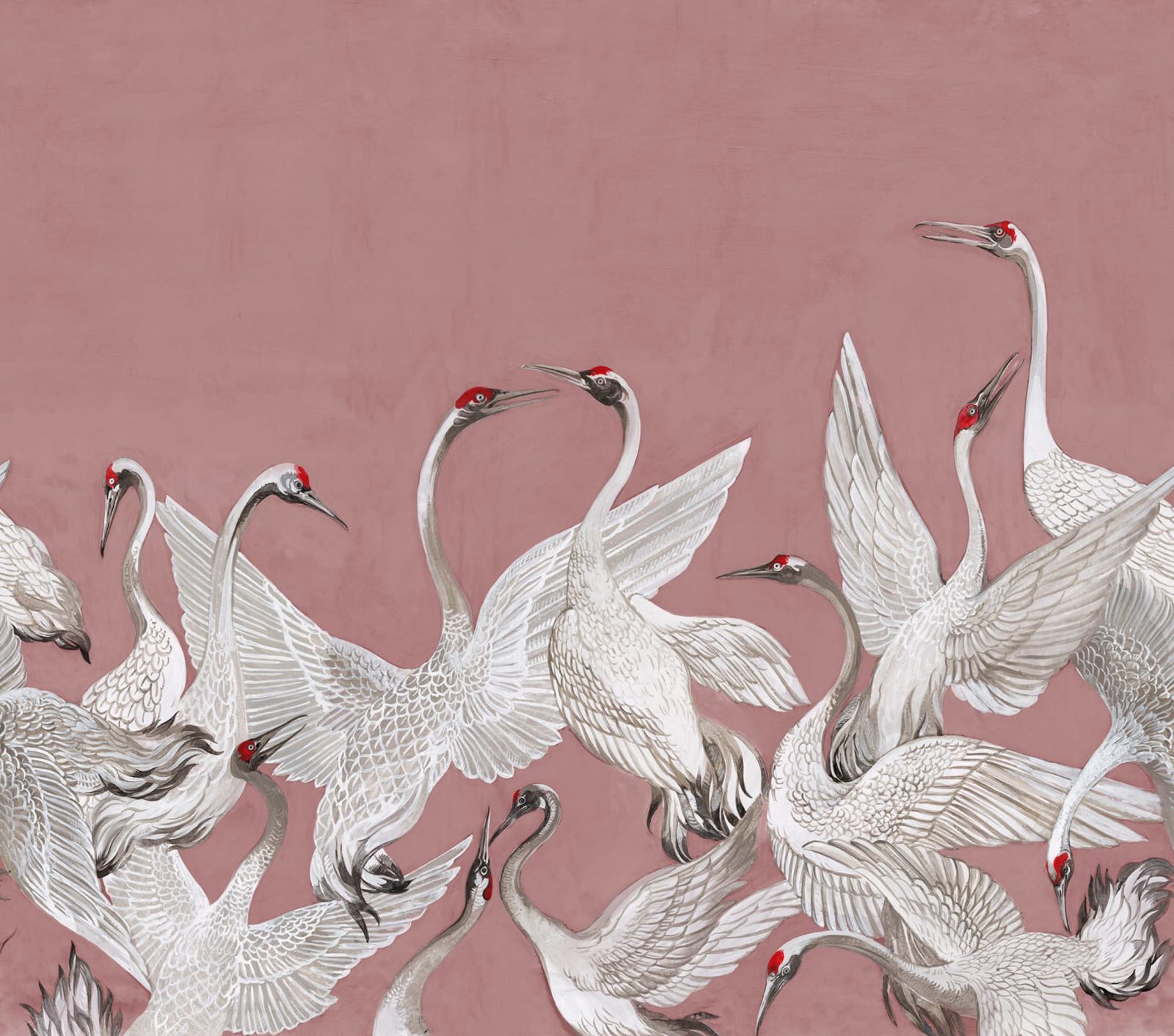 Soaring Cranes, Pink, Rebel Walls