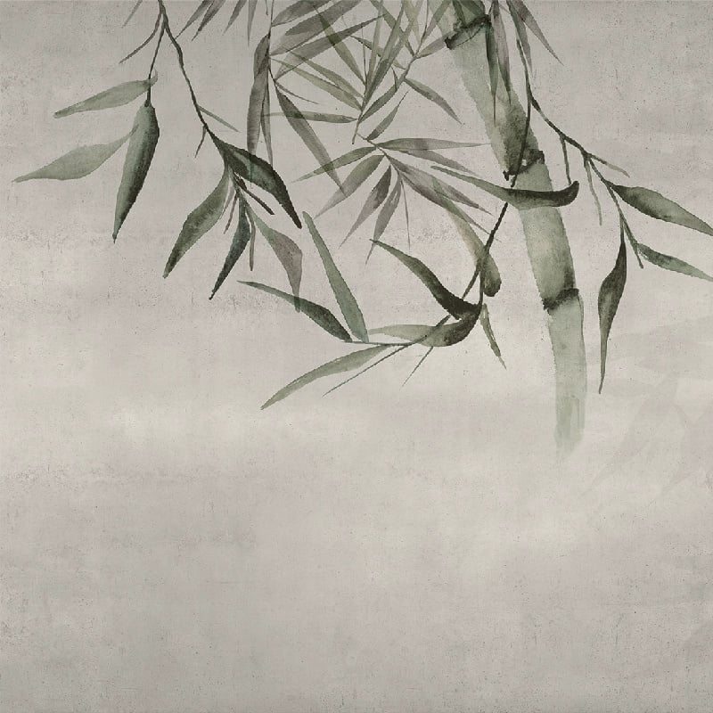 Bamboo Evergreen, VLAdiLA 4