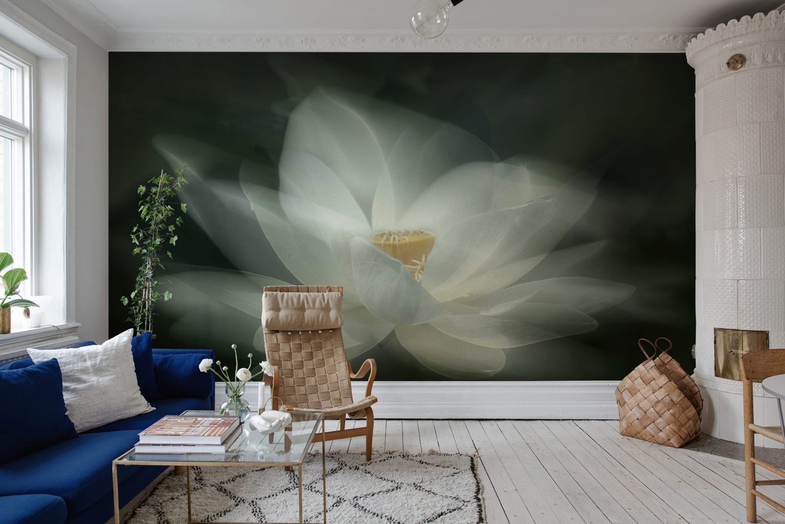 White Waterlily, Rebel Walls 2