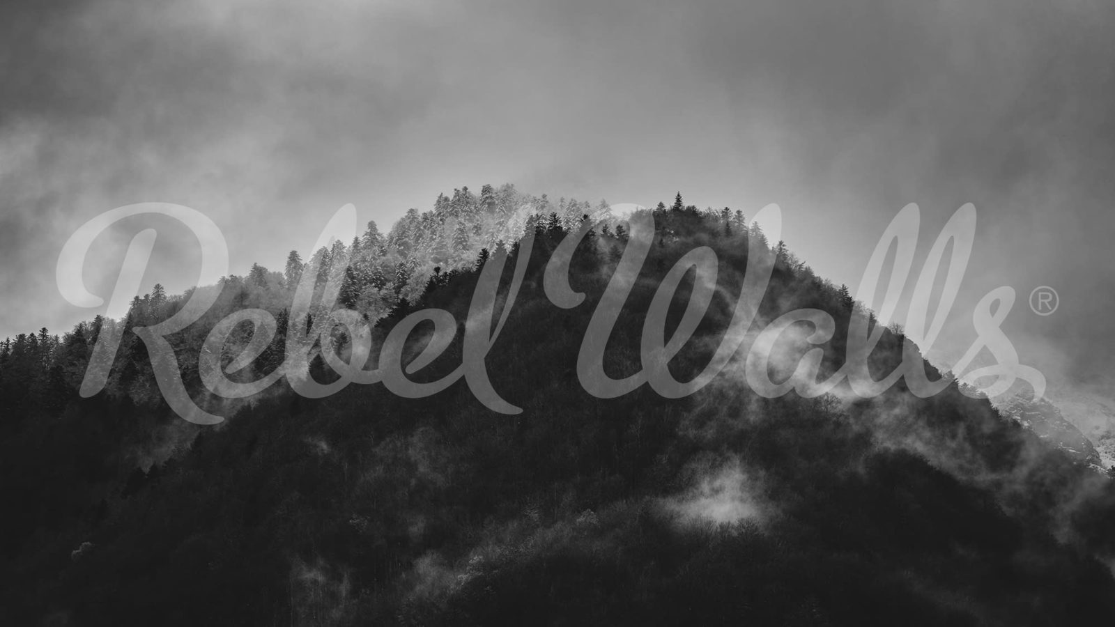Foggy Mountain, Black & White, Rebel Walls