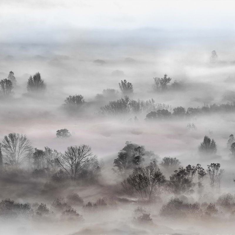Foggy Landscape Pastels, VLAdiLA