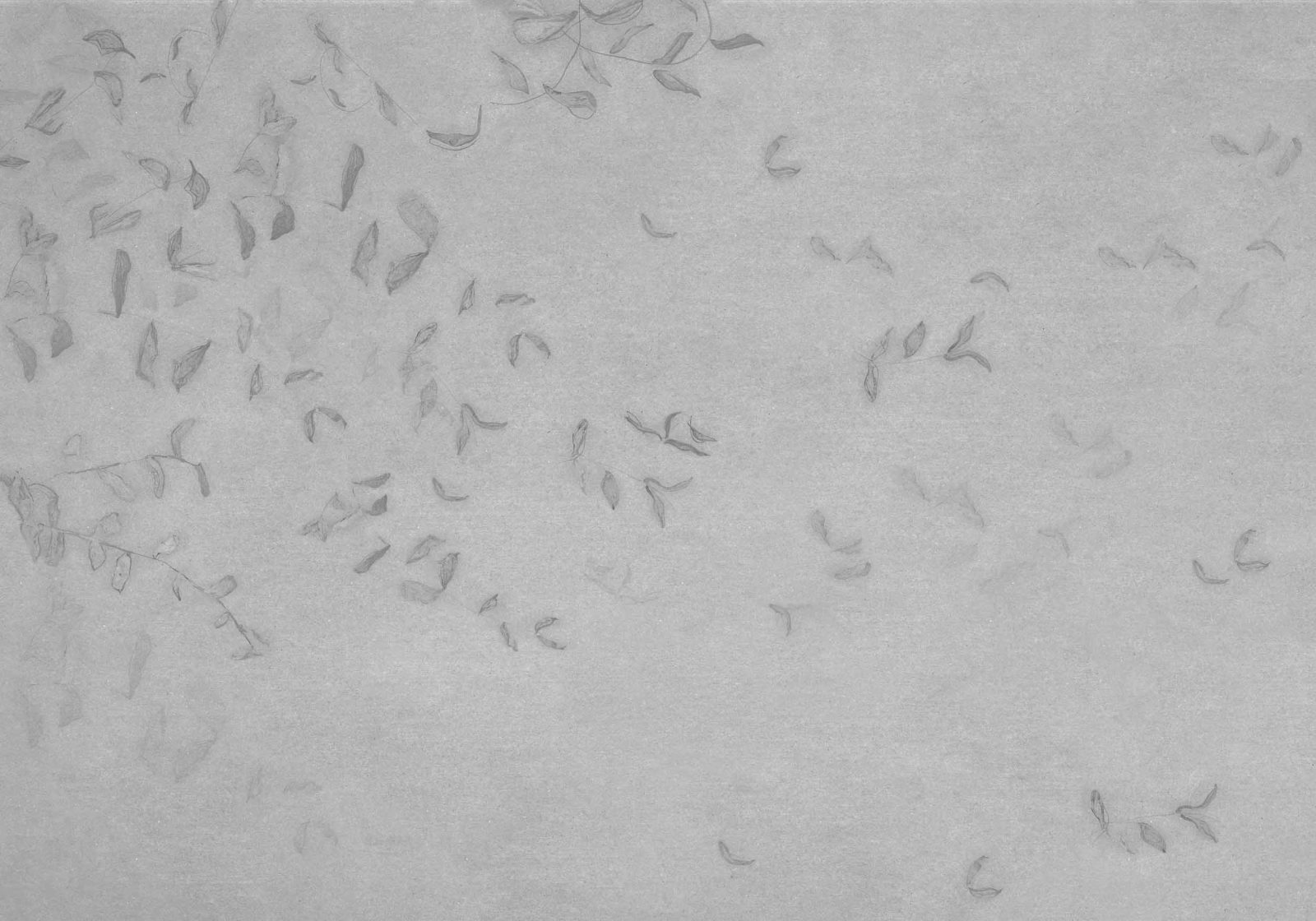 Leaves Reflection, Grey, Coordonne
