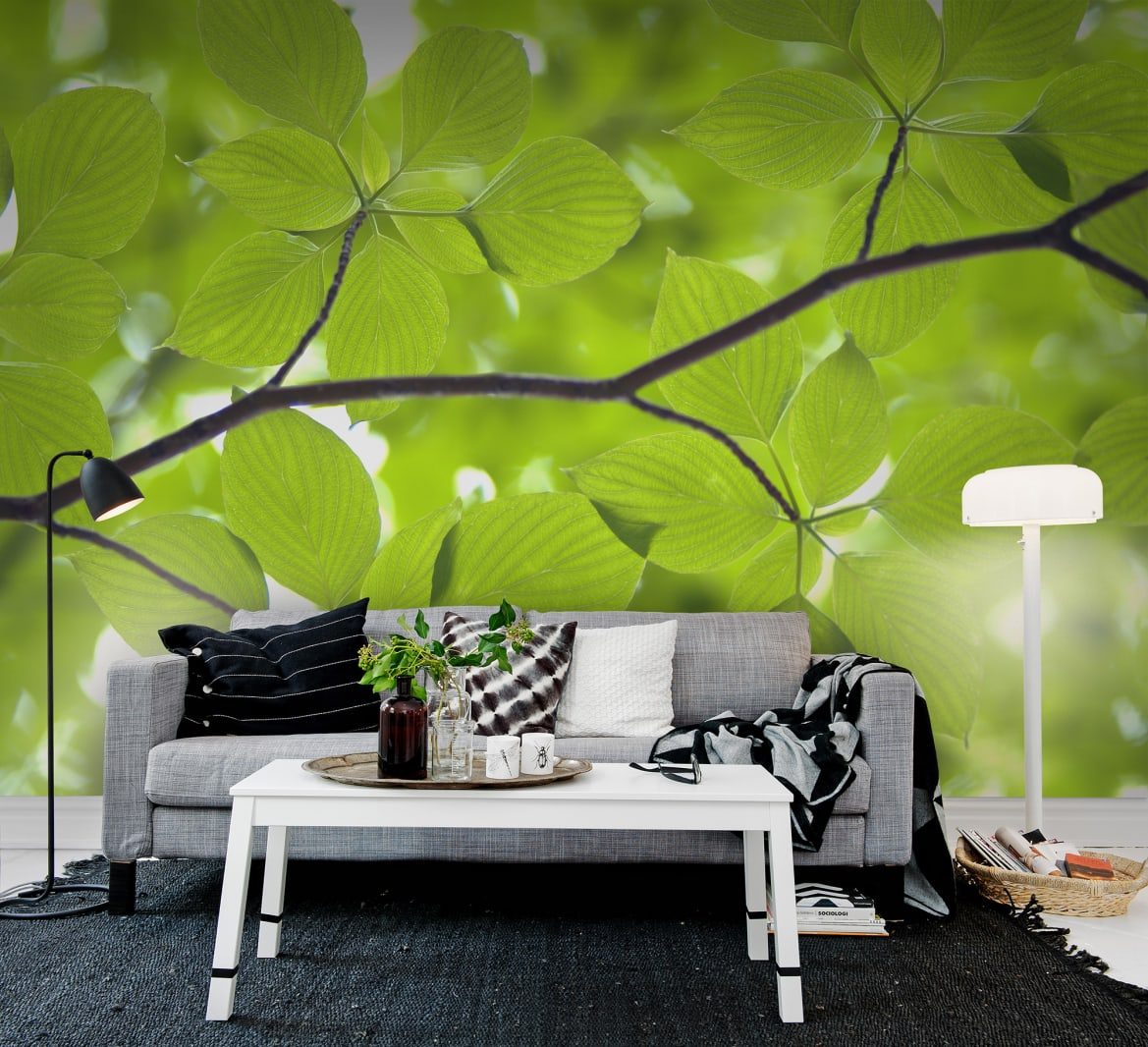 Leaves, Rebel Walls 3