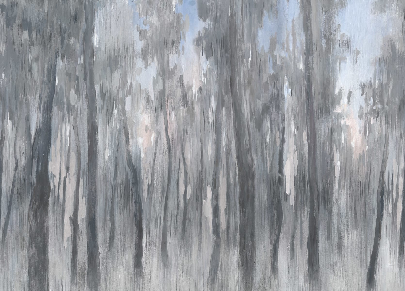 Morning Forest, Gray, Rebel Walls