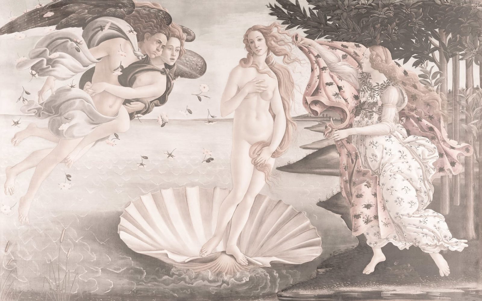 Venus Birth, Dusk, Rebel Walls