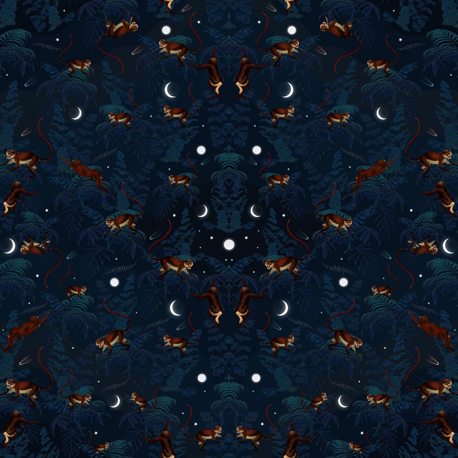 Space Monkey, Rebel Walls