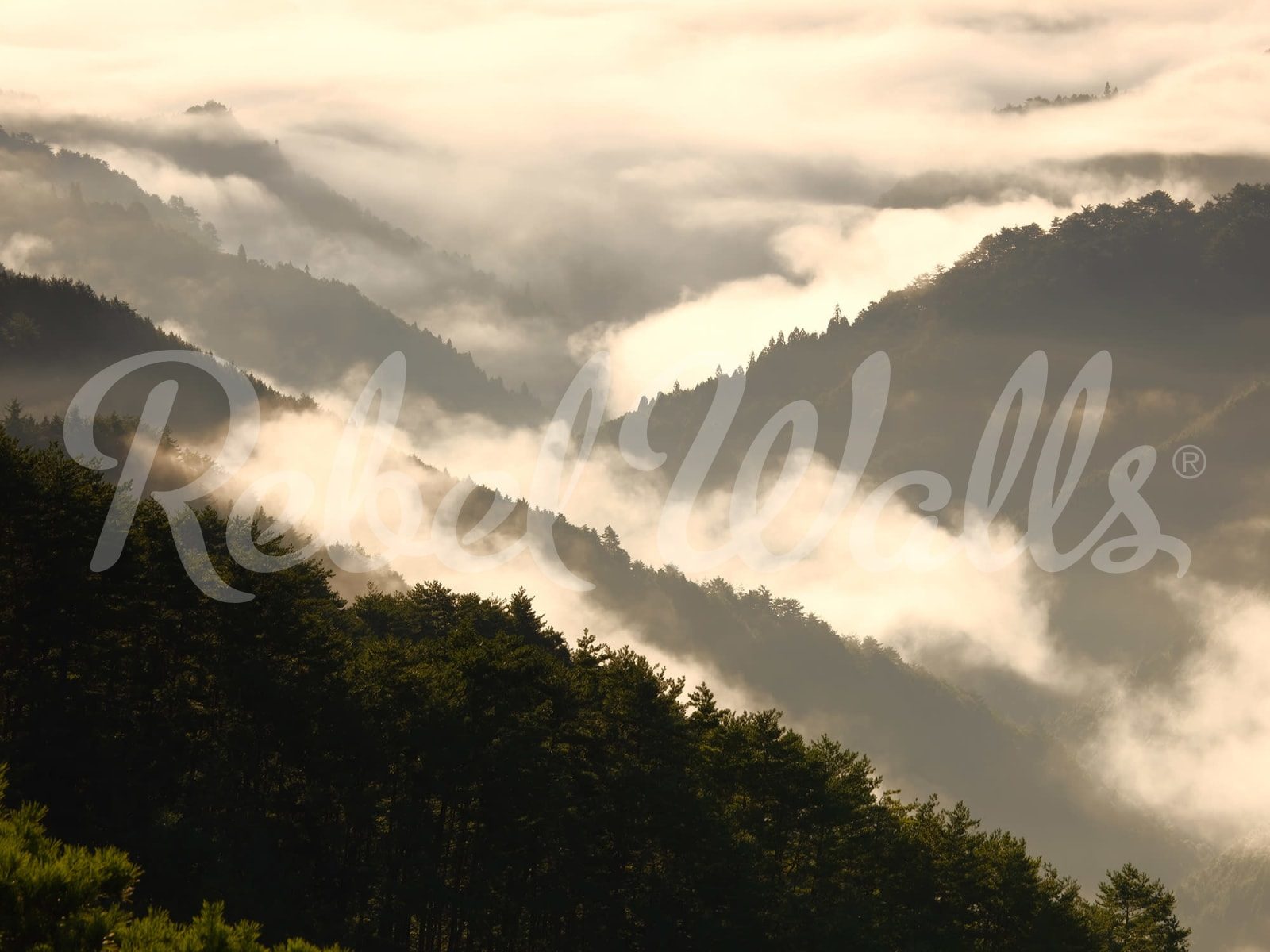 Mountain View, Rebel Walls