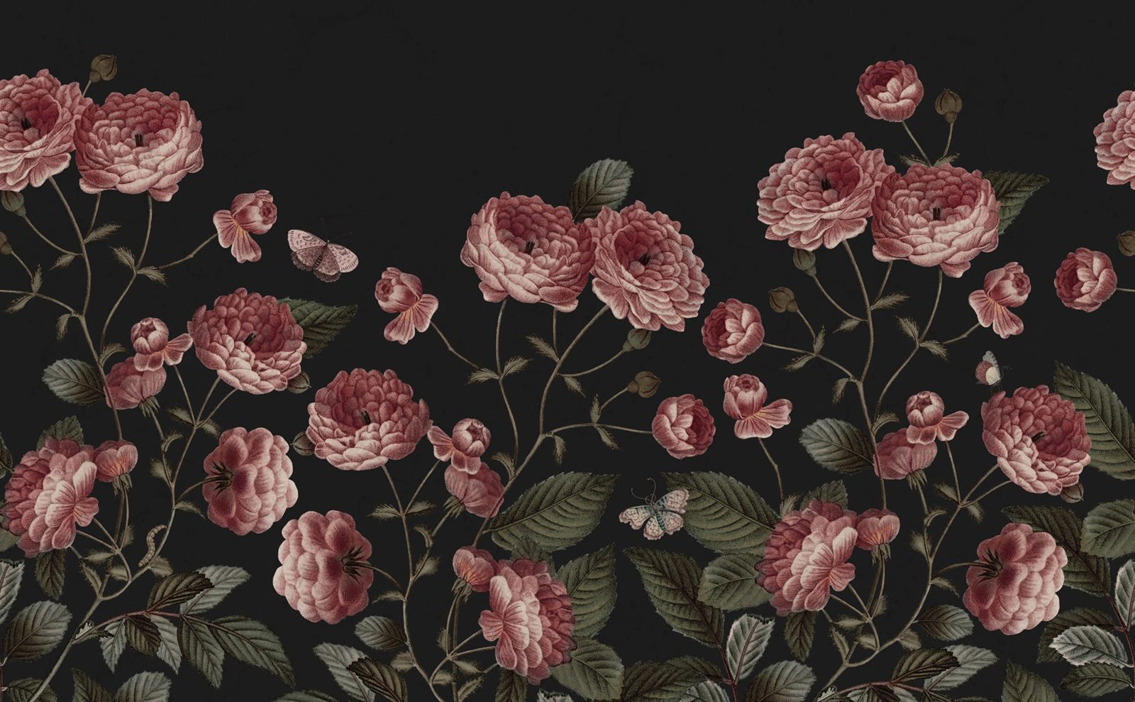 Sweet Buttercups, Midnight, Rebel Walls