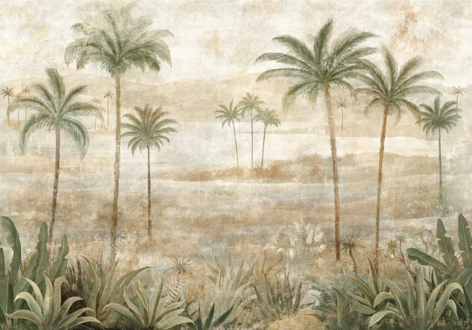 Draa Palms, Leaves, Coordonne