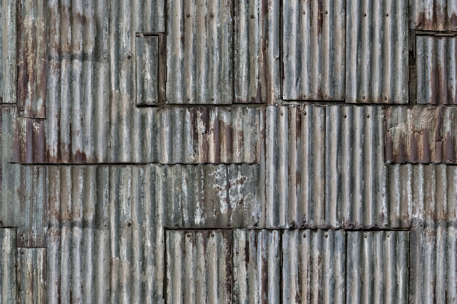 Backyard, Rebel Walls