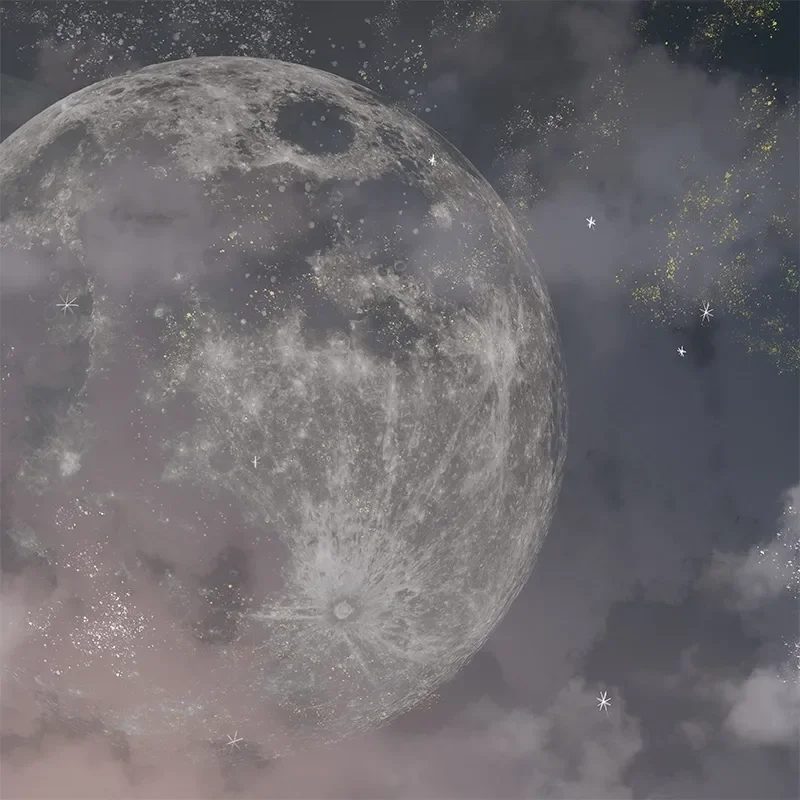 Moon Dust, VLAdiLA