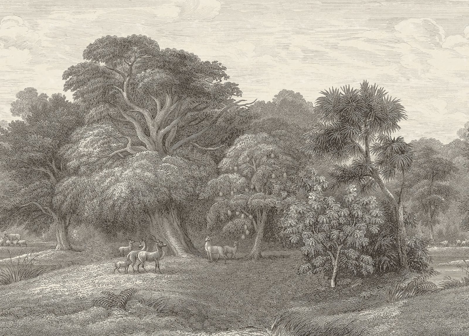 Jungle Forest, Beige, Rebel Walls