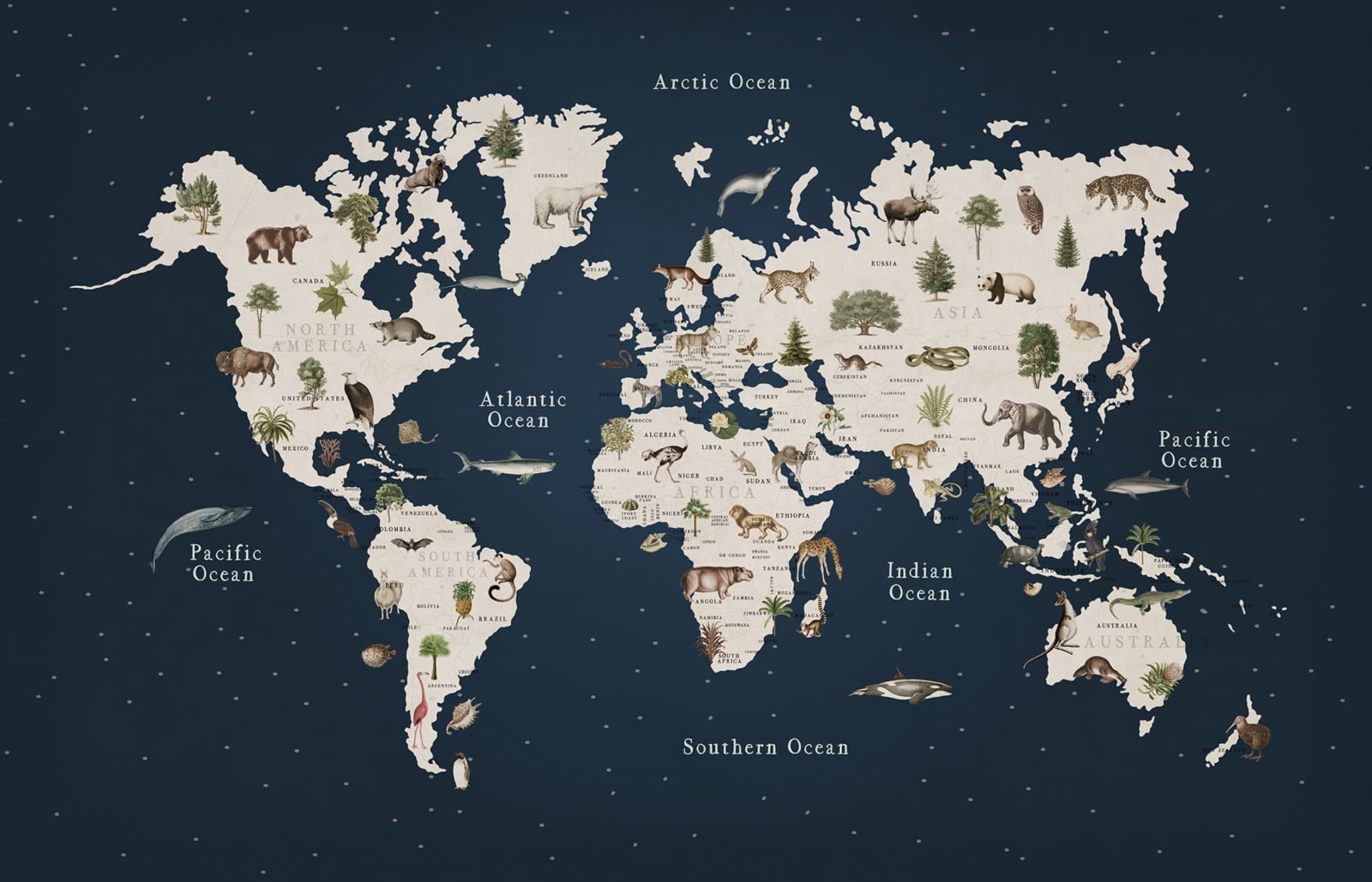 Animal World, Midnight, Rebel Walls