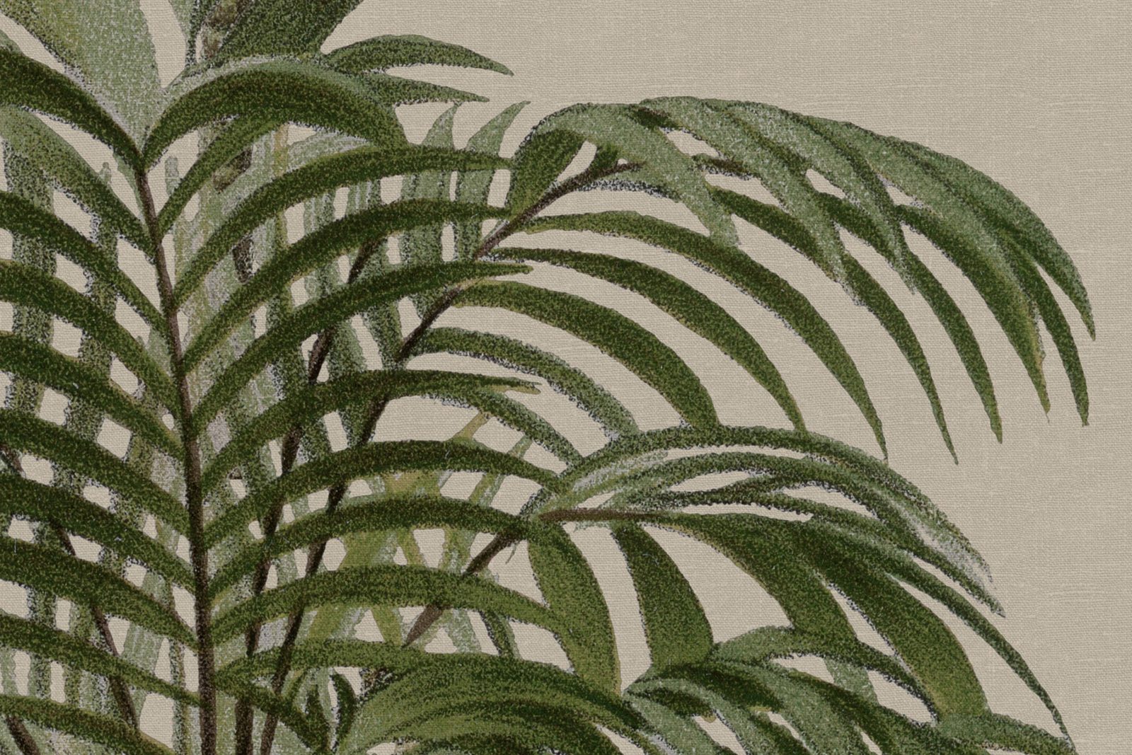 Palm Stripes, Vintage, Rebel Walls 4