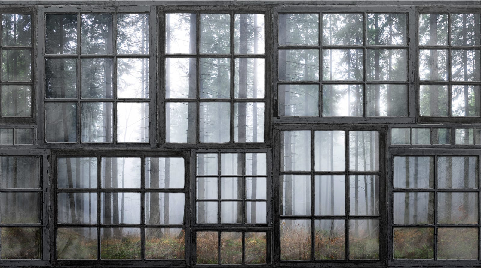 Cabin, Rebel Walls
