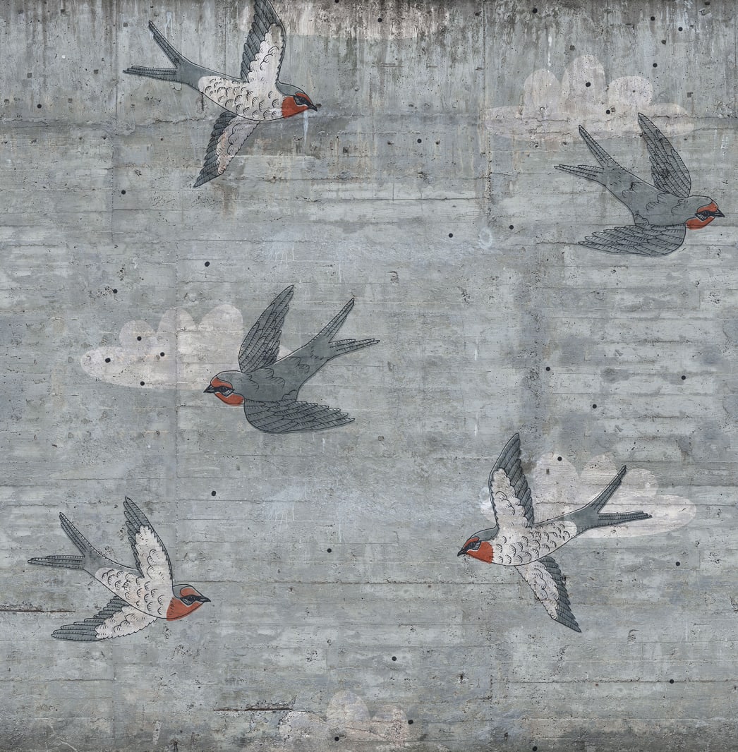 Concrete Art, Swallow, Rebel Walls