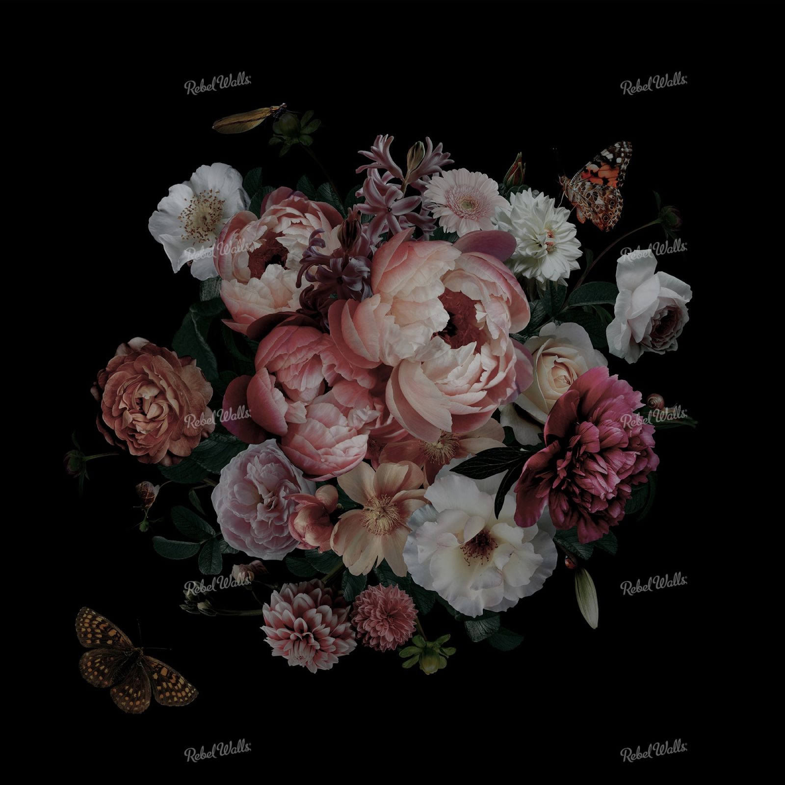 Dark Bouquet, Rebel Walls