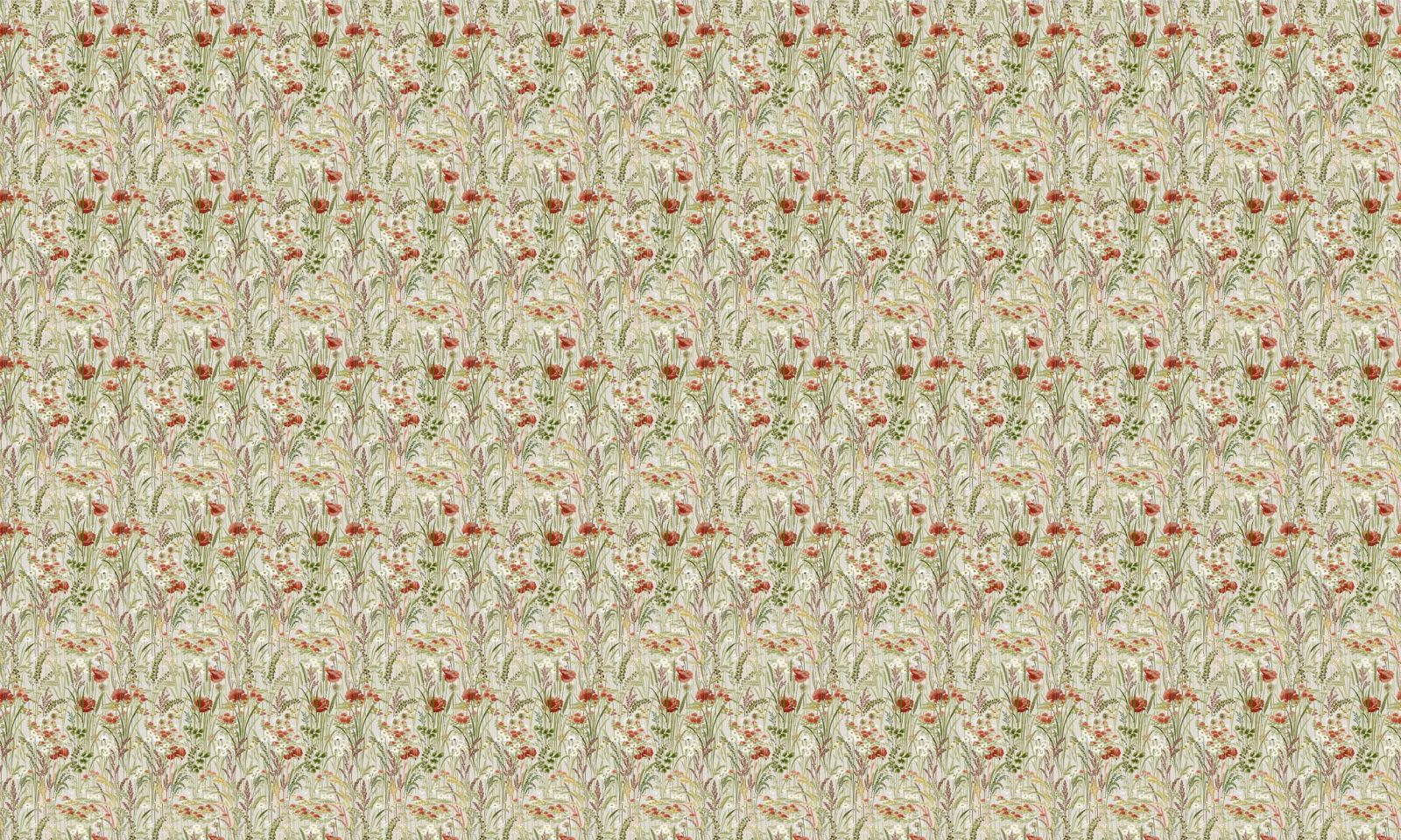 Pradera, Cisne, Coordonne 5mp / rola 3