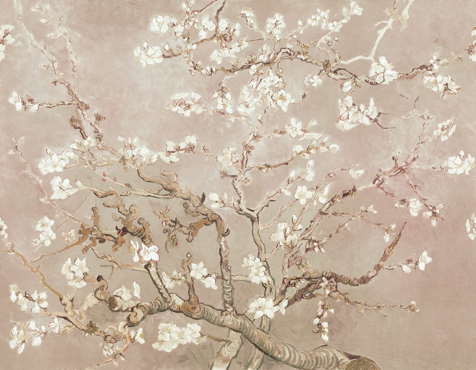 Almond Blossom, Beige, Rebel Walls