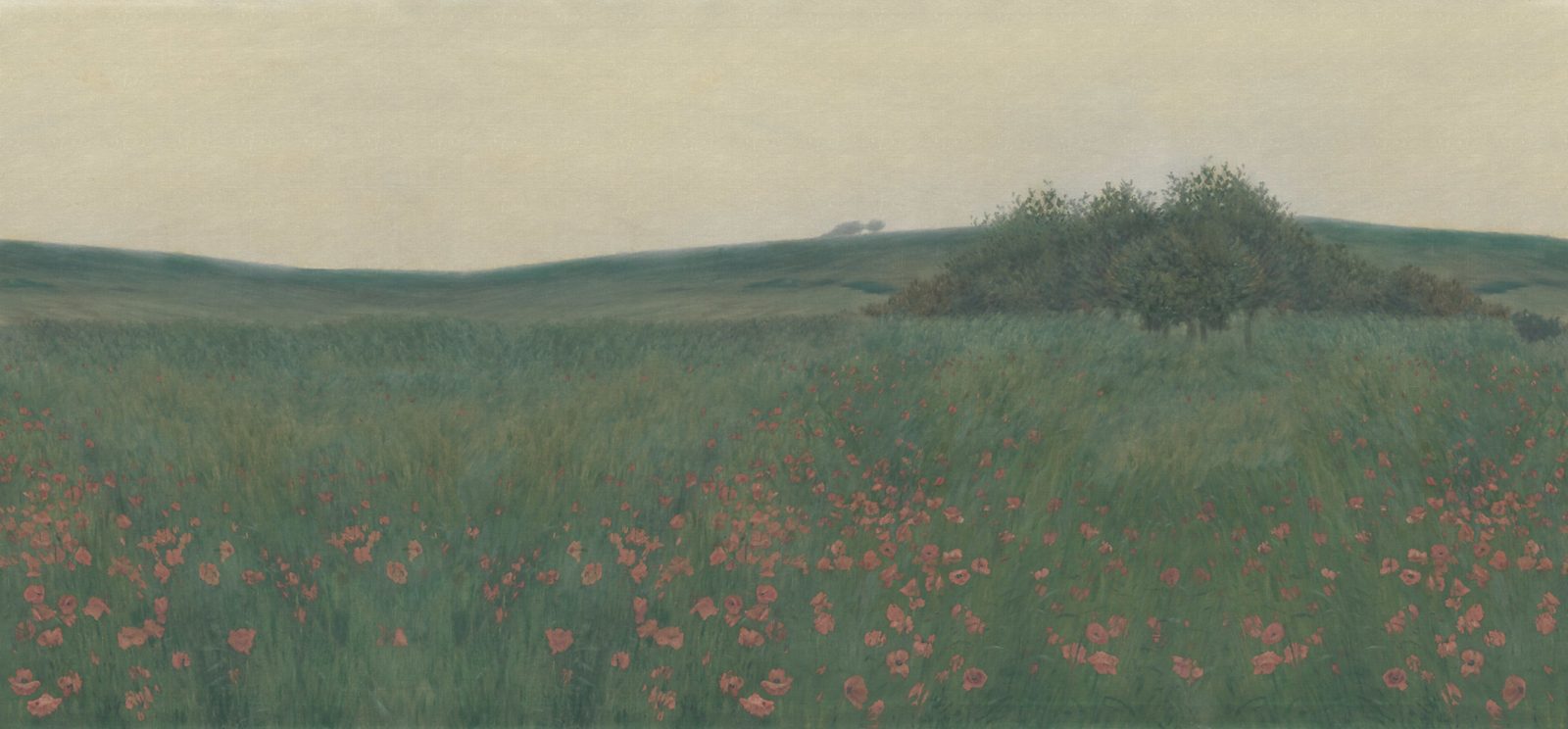 Poppy Landscape, Dawn, Rebel Walls