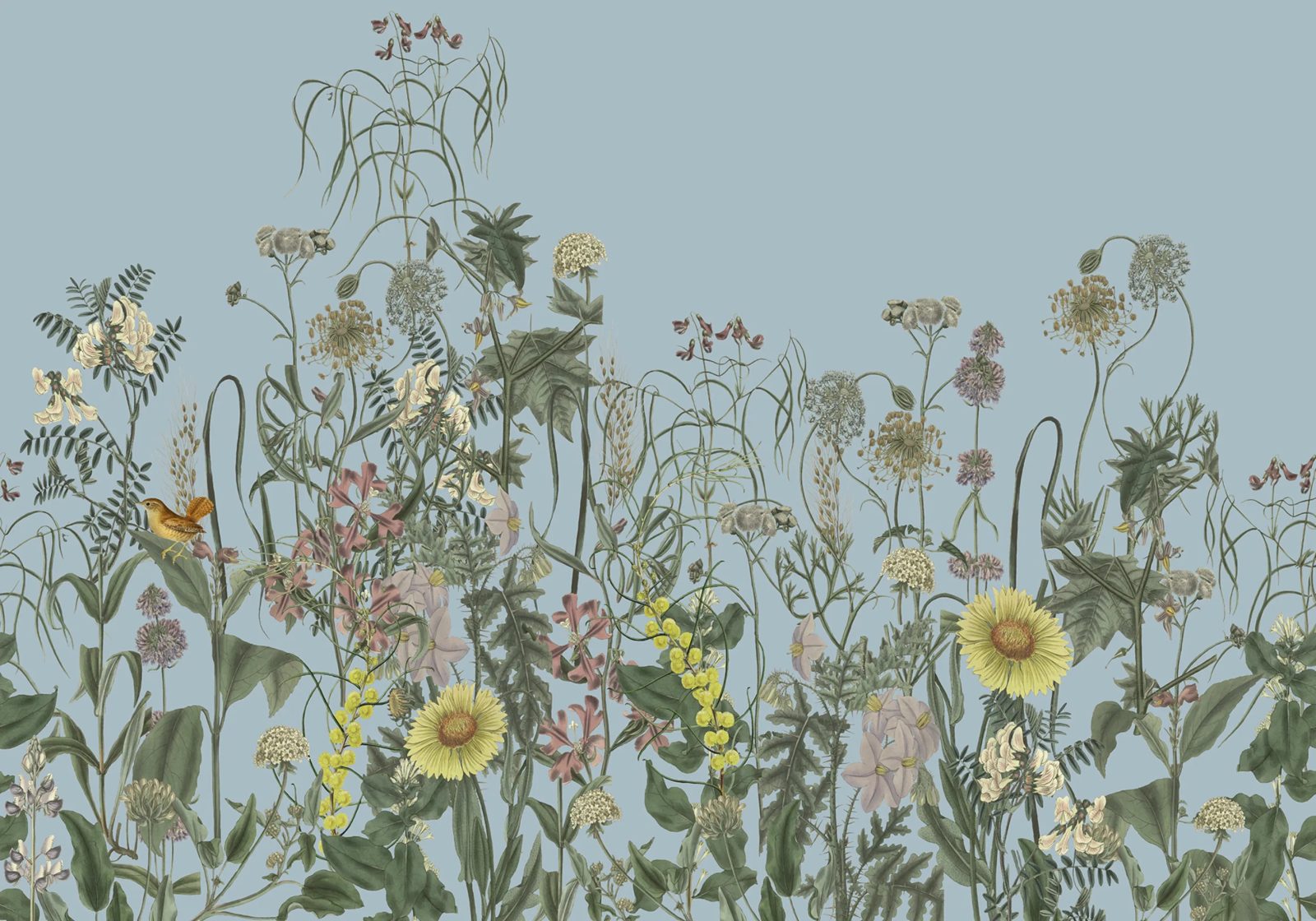 Springmeadow, Blue, Rebel Walls