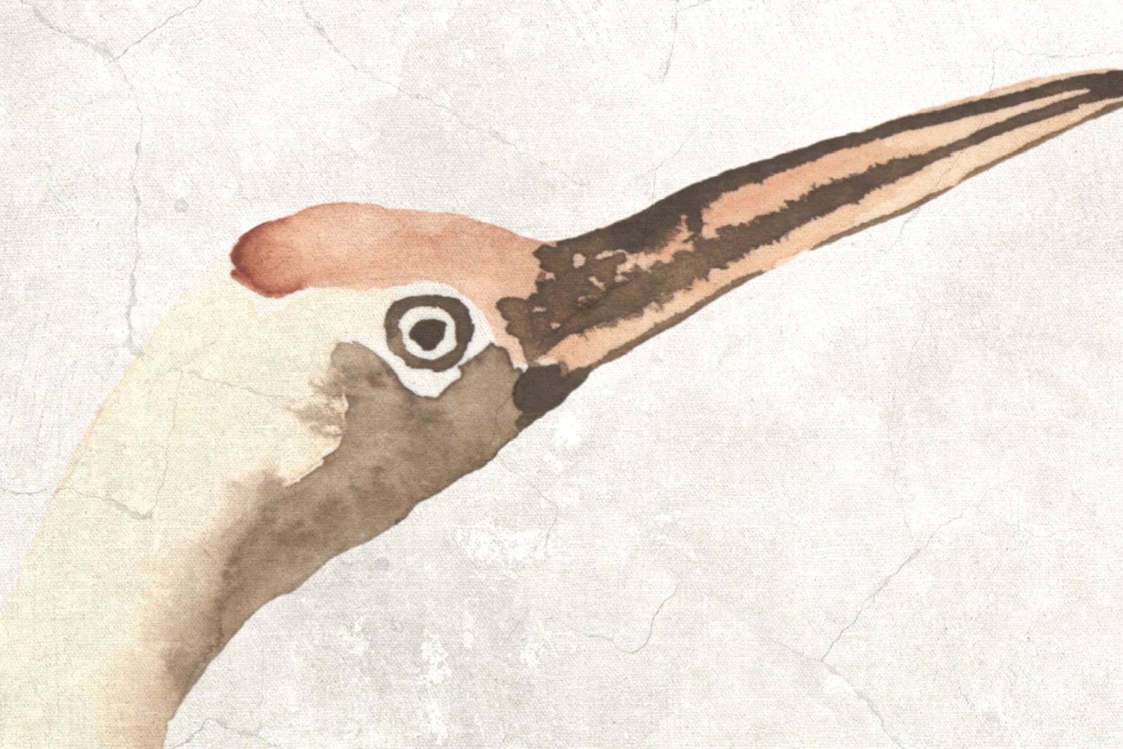 Where Cranes Dream, Beige, Rebel Walls 4