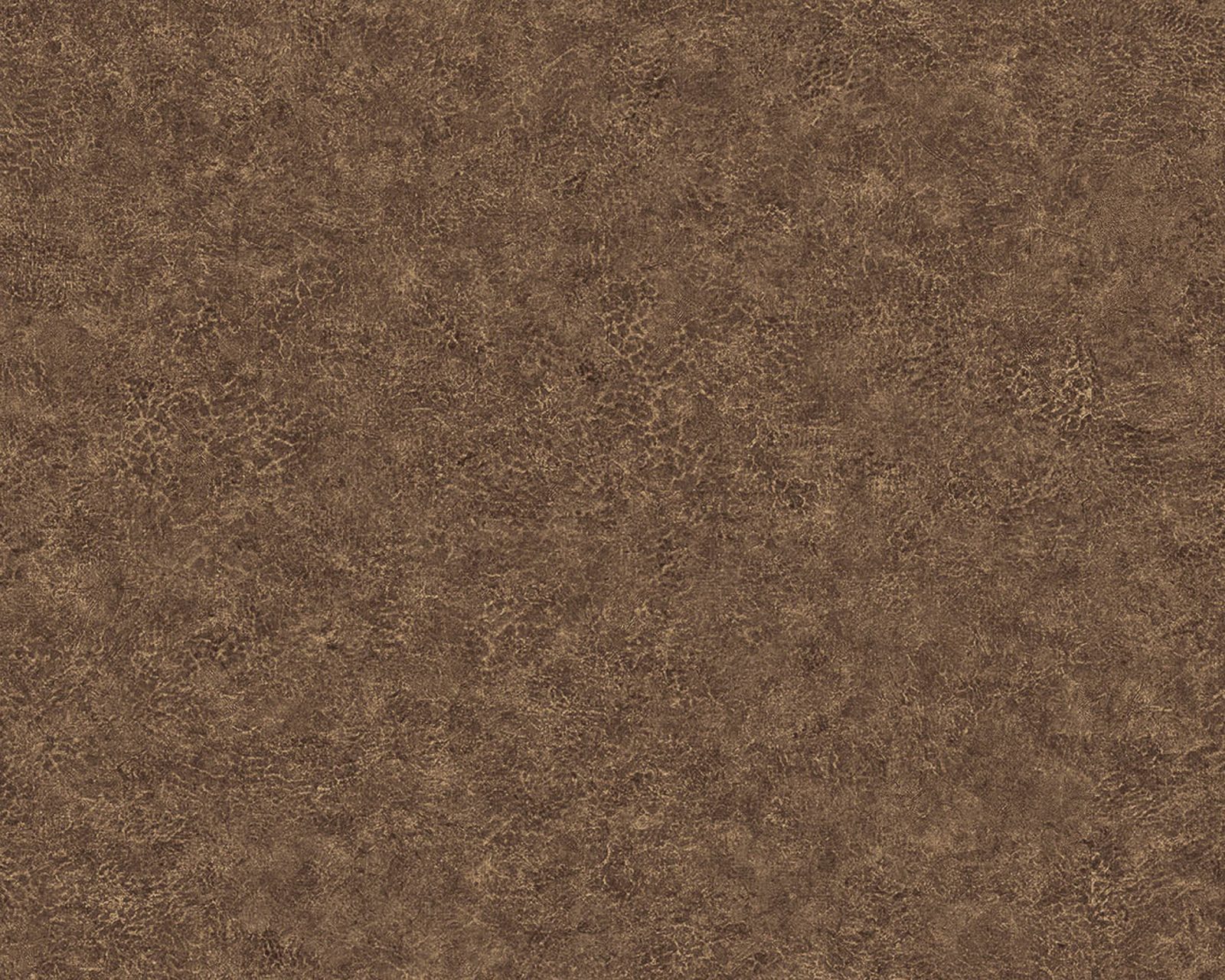 Elephant Leather, 64735626, Coordonne