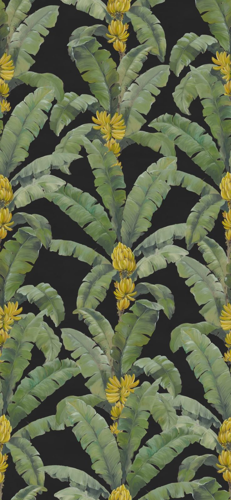 Banana Leaf, Black, Rebel Walls