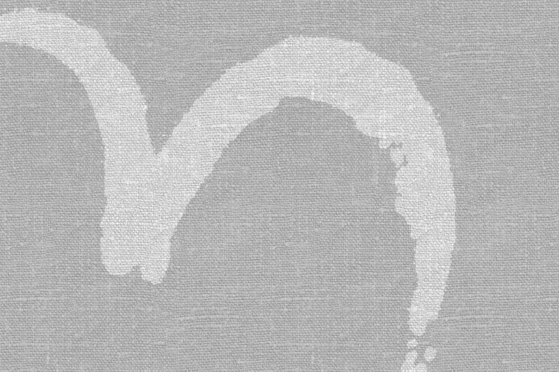 Bird, Gray, Rebel Walls 4