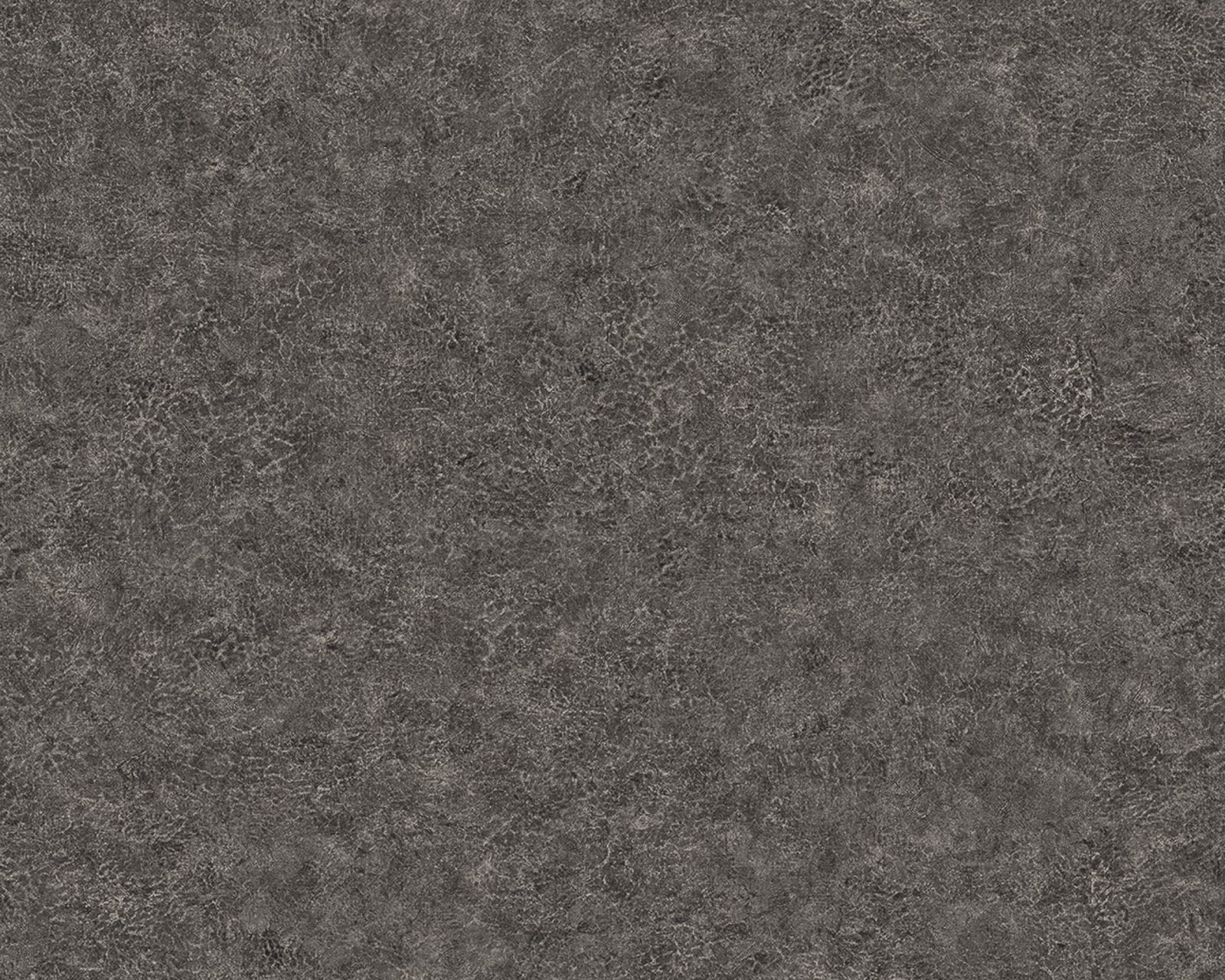 Elephant Leather, 64735600, Coordonne