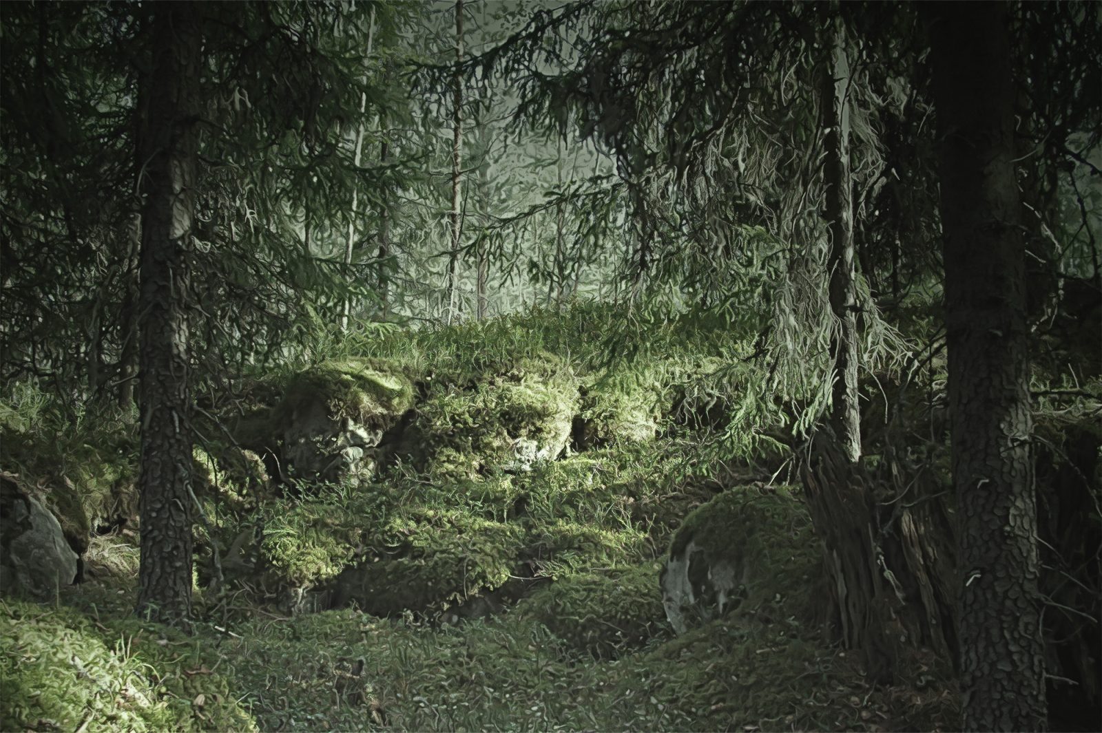 Virgin Forest, Rebel Walls