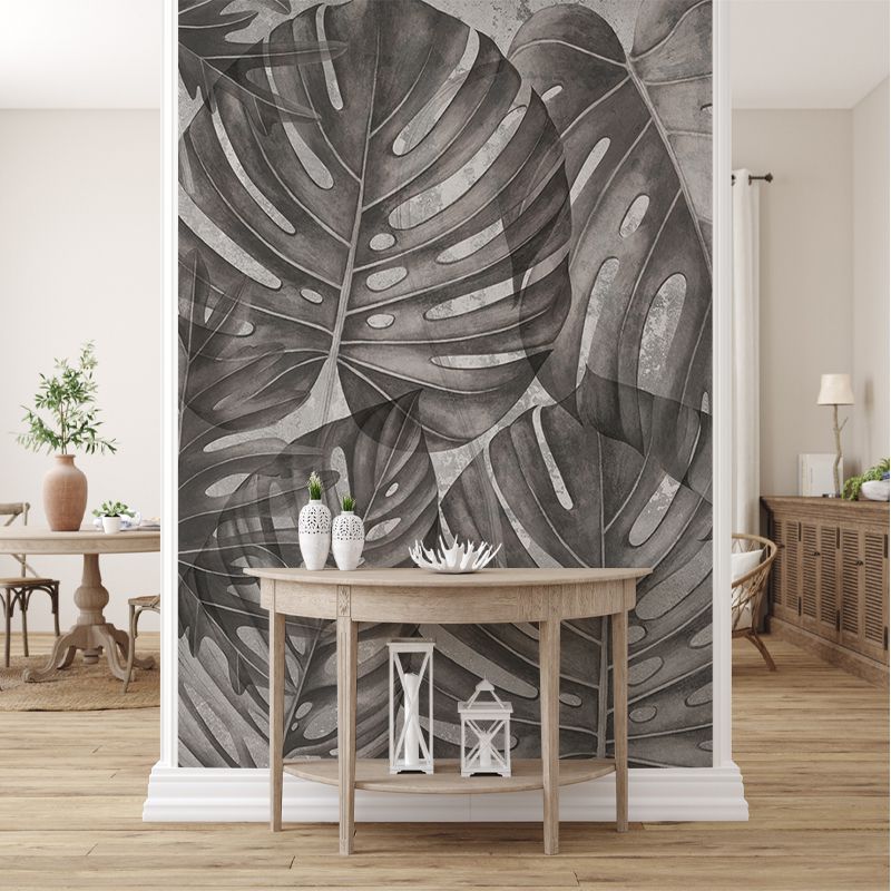 Grey Philodendron, VLAdiLA 3