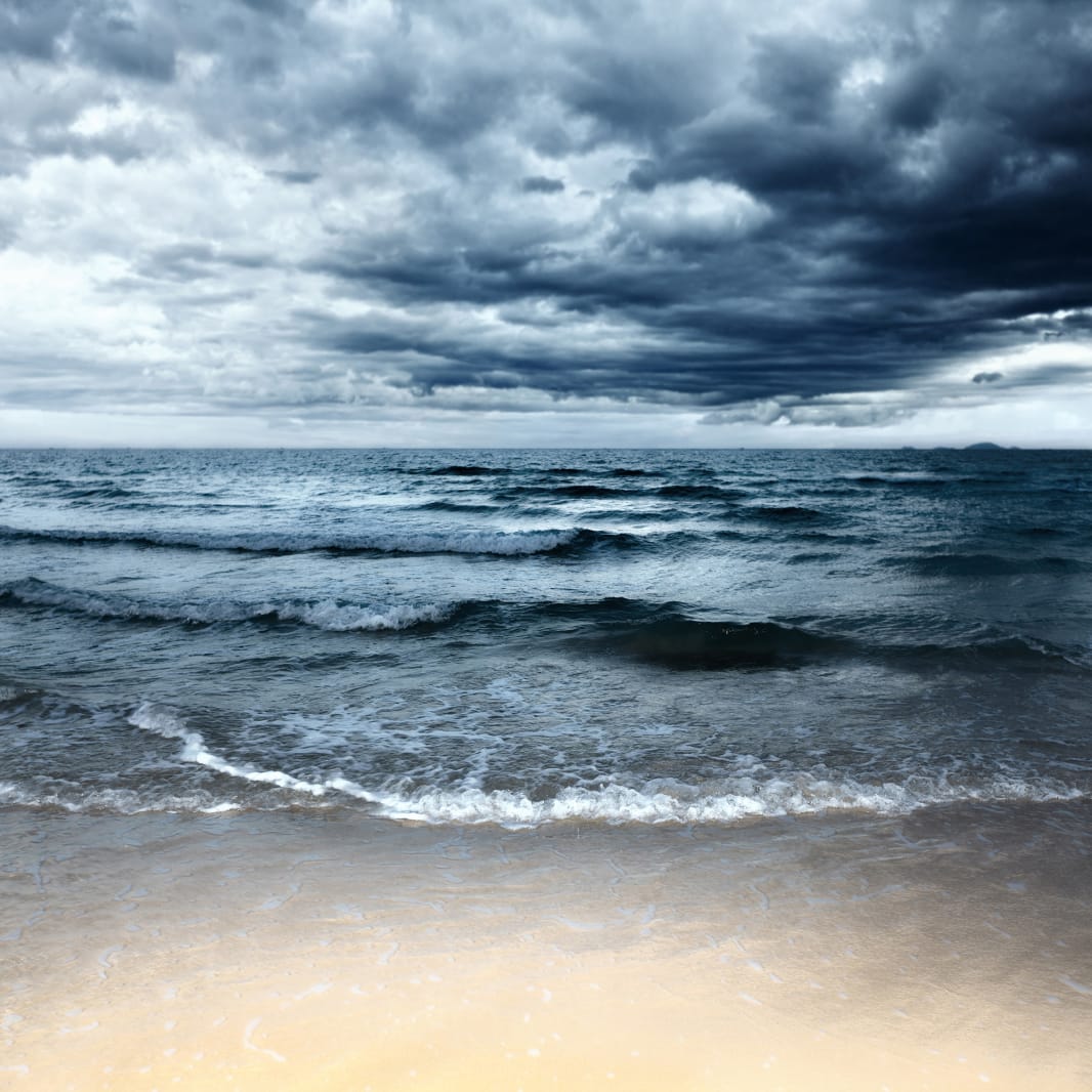 Sea, Rebel Walls
