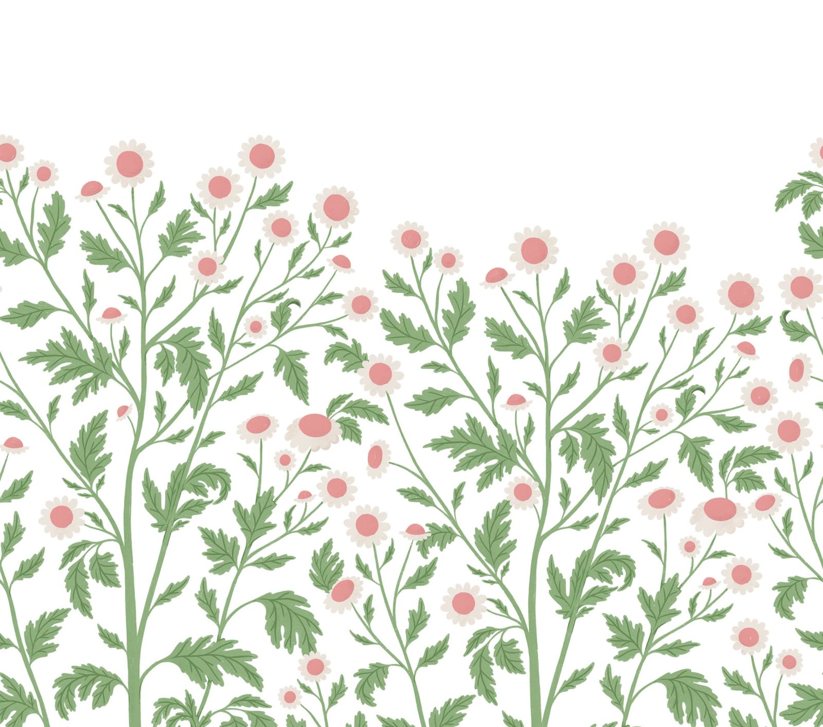 Chamomille, Spring, Rebel Walls