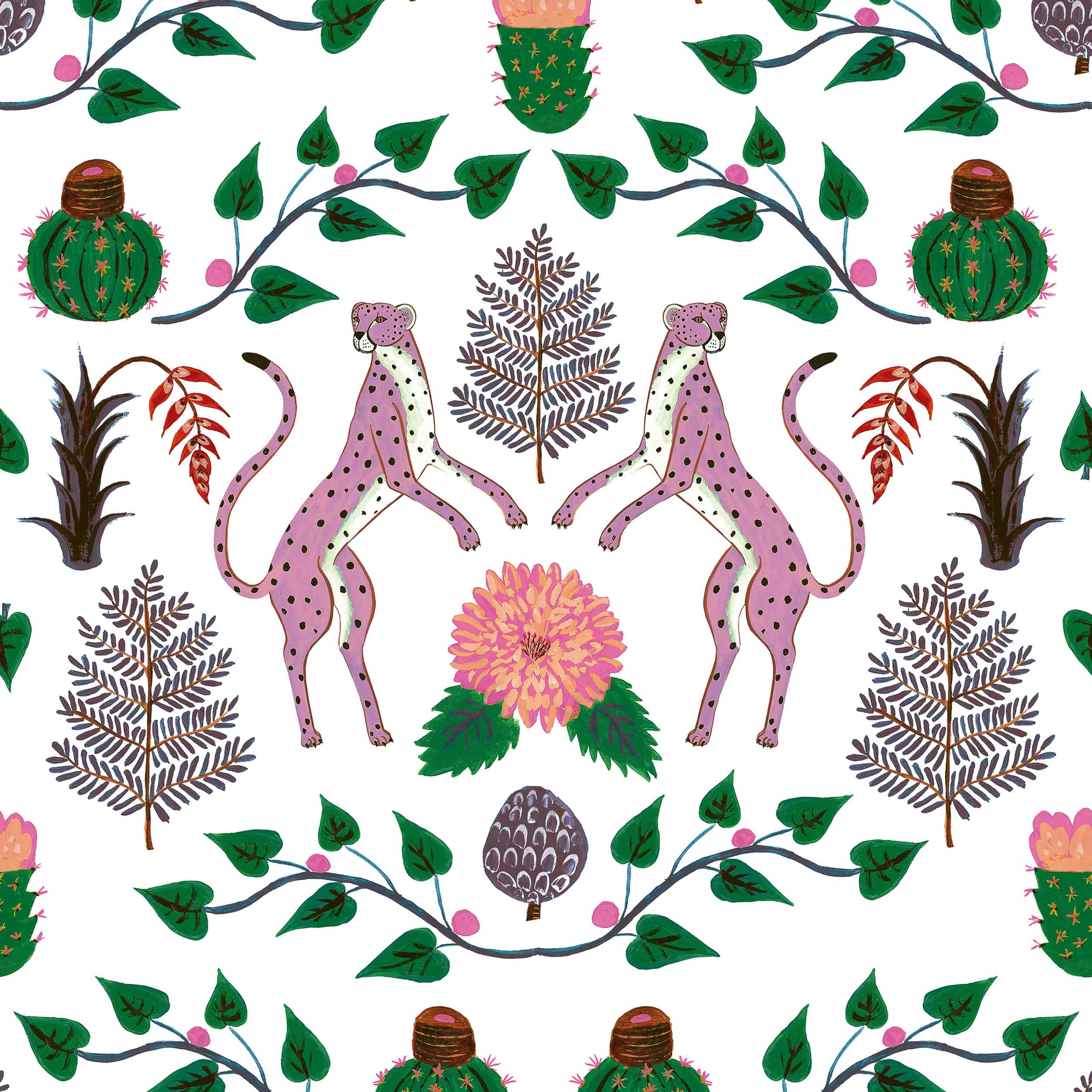 Cheetahs, Rosa, Coordonne, 5mp / rola