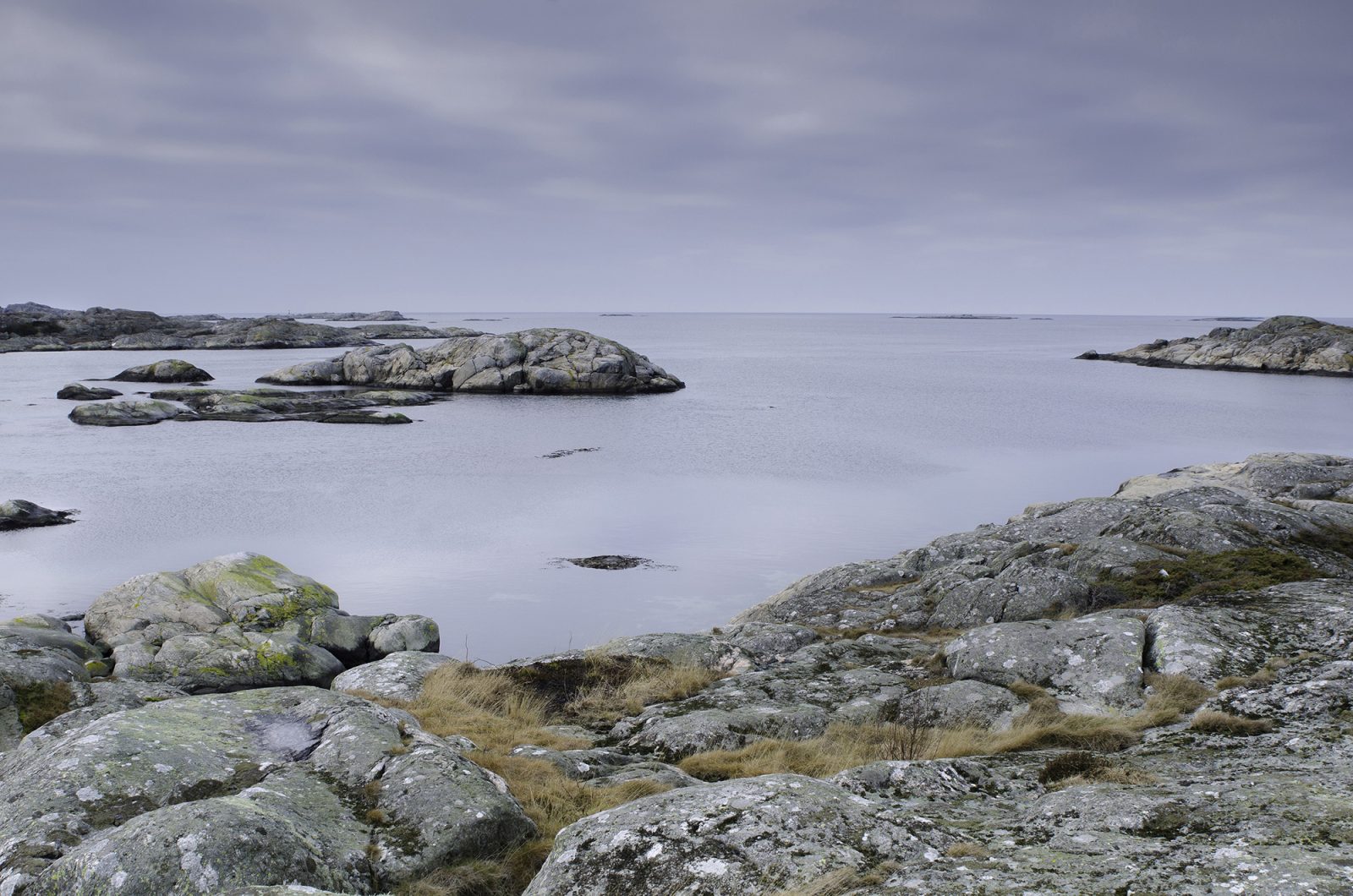 Soft Rocks, Rebel Walls