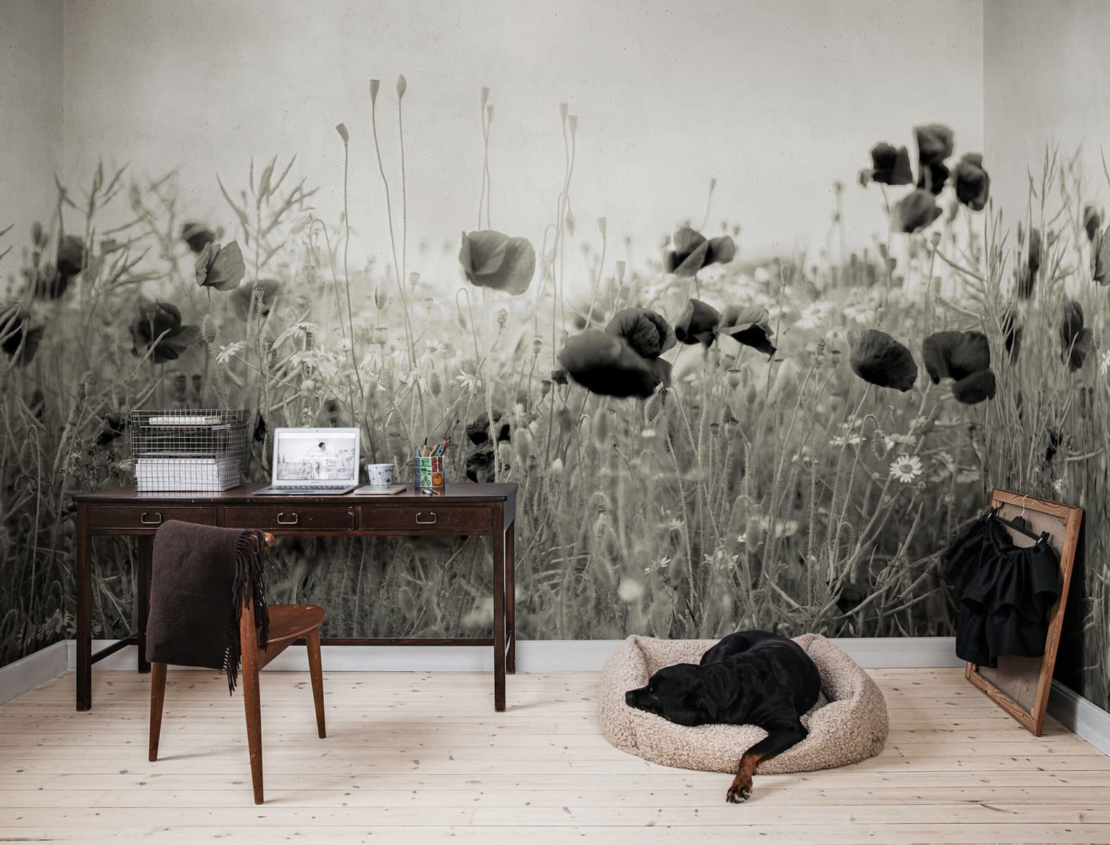 Poppy Field, Vintage, Rebel Walls 2