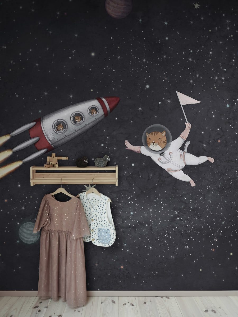 Space Cats, Midnight, Rebel Walls 3