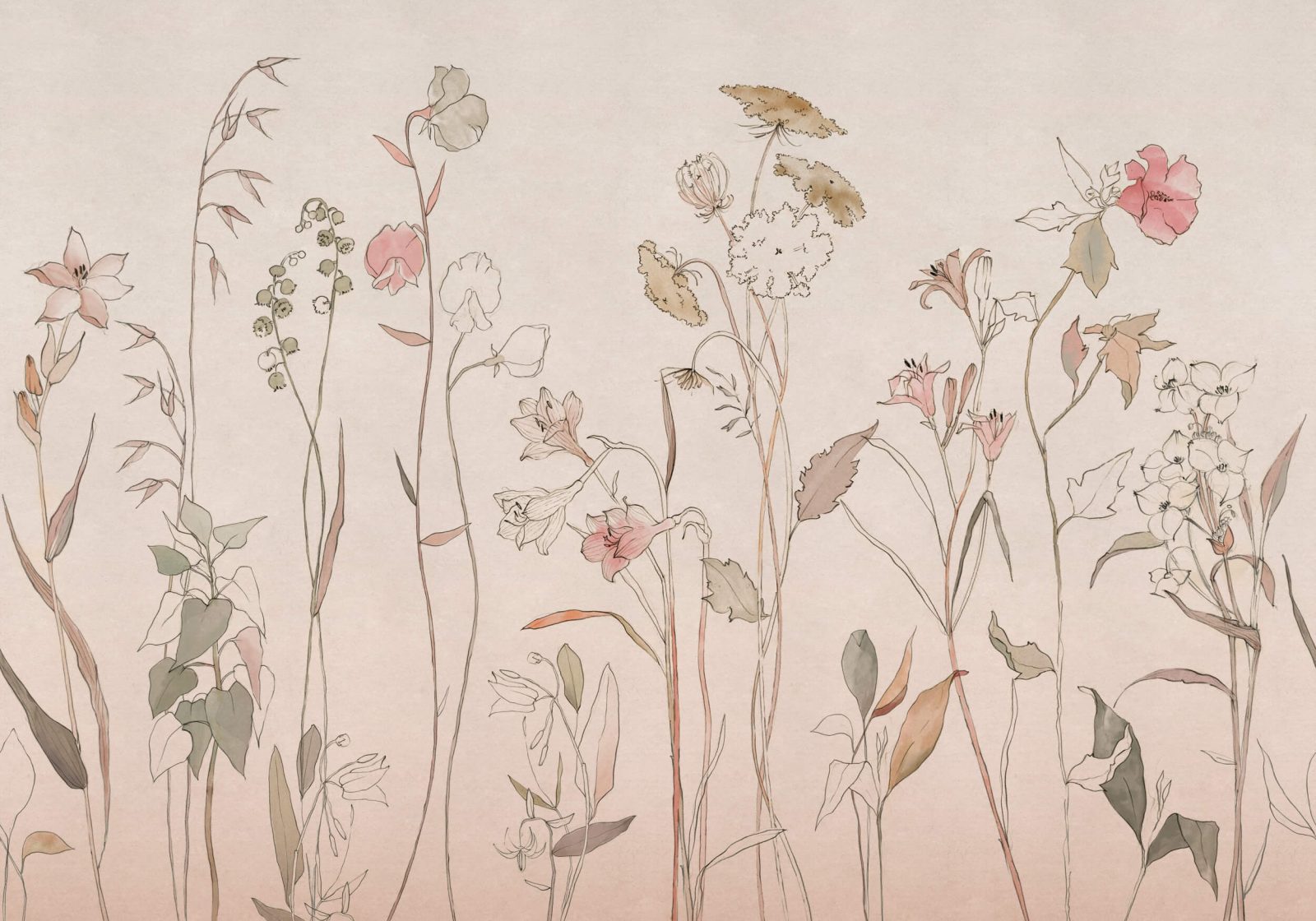 Countryside, Pink, Coordonne