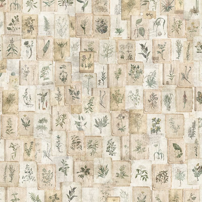 Vintage Herbarium, VLAdiLA