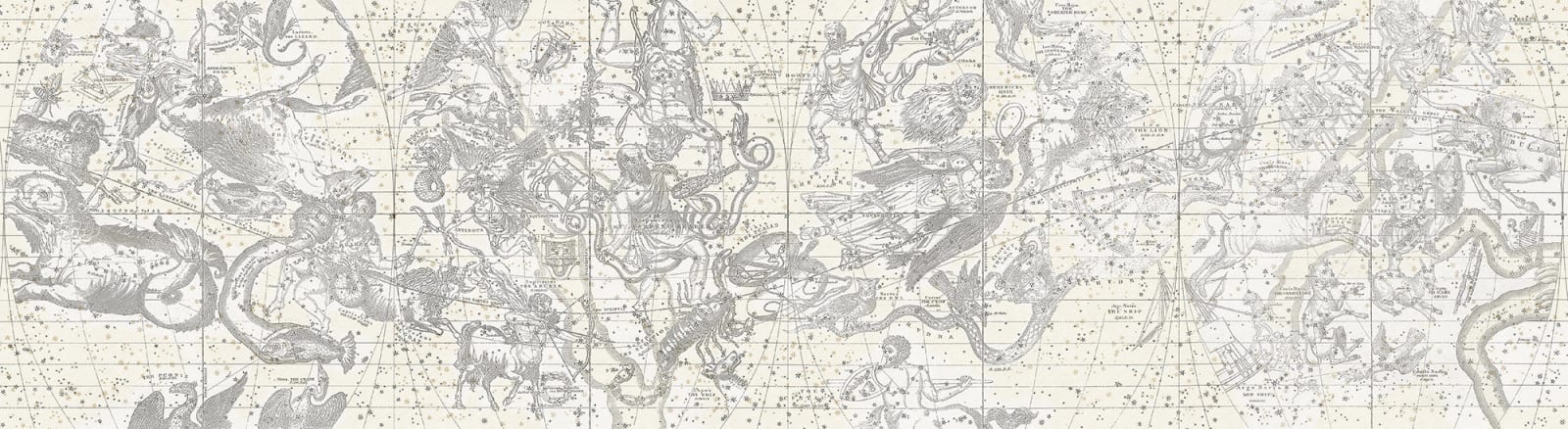 Star Map, White, Rebel Walls