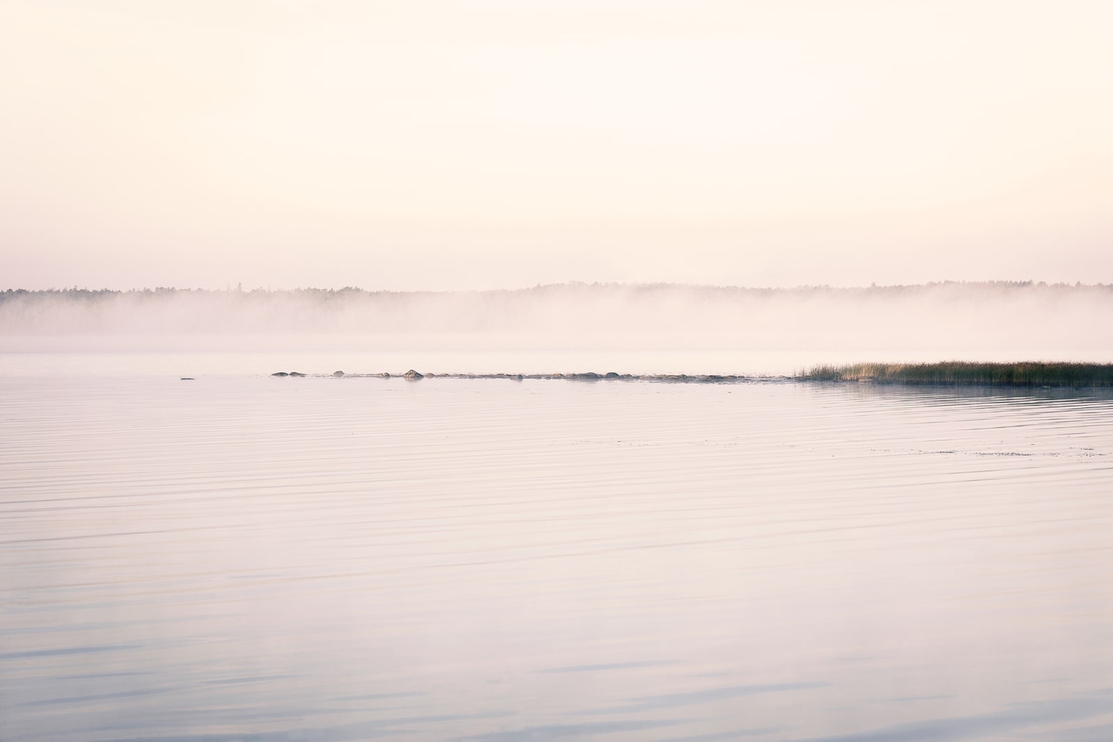 Misty Water, Rebel Walls