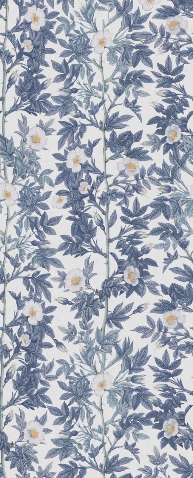 Rose Hip, Blue, Rebel Walls