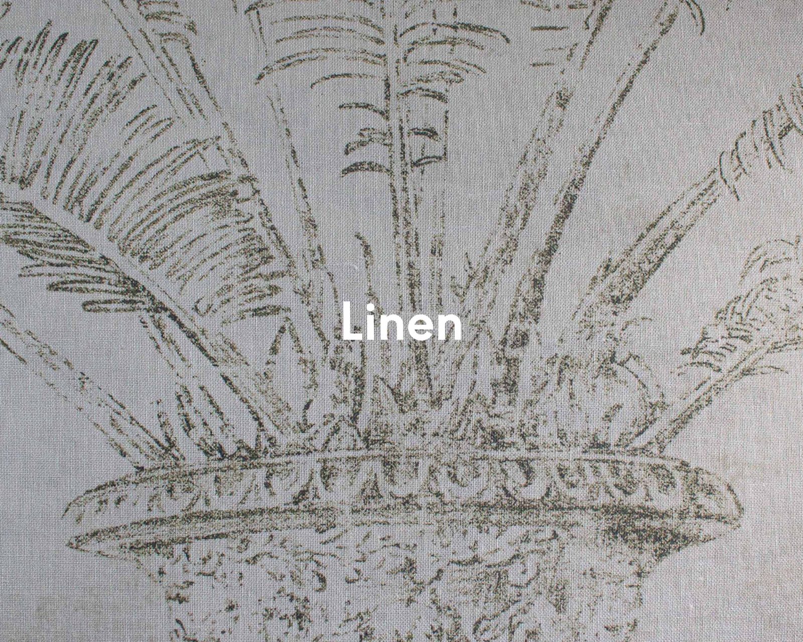 Palma, Papyrus, Coordonne 5