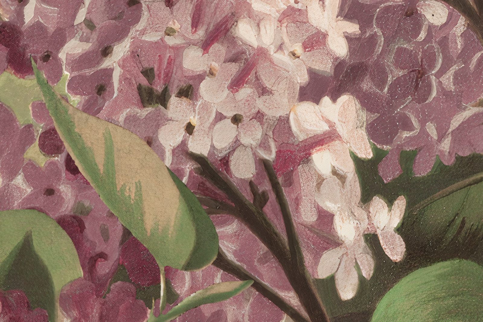 Syringa Flowers, Black, Rebel Walls 4